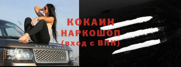 стаф Вяземский