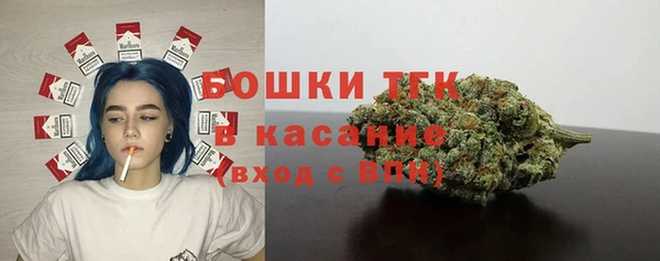стафф Вязьма