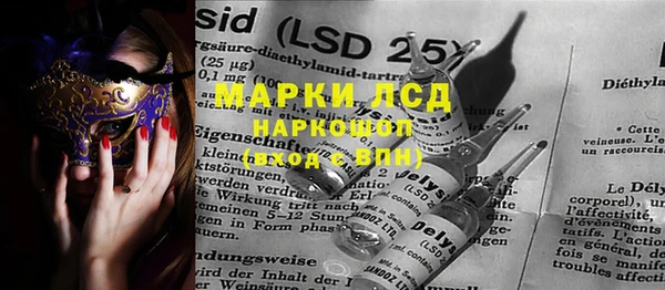 стафф Вязьма