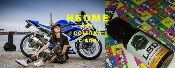 стаф Вяземский