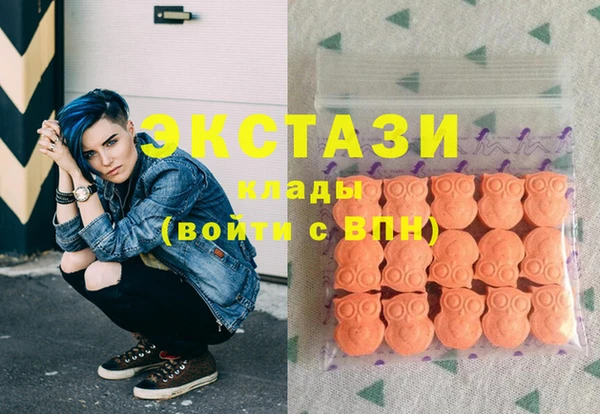 стаф Вяземский