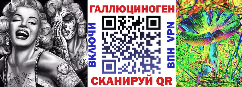 сколько стоит  Галич  даркнет Telegram  Галлюциногенные грибы Psilocybine cubensis 
